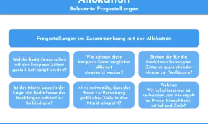 Fragen zur Allokation: Wie werden knappe Güter verteilt, welche Bedürfnisse werden befriedigt und wie effizient ist der Einsatz?