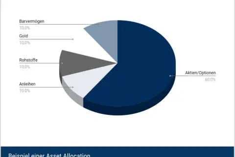 Kreisdiagramm zeigt eine Beispiel-Asset-Allocation: 60% Aktien/Optionen, je 10% Barvermögen, Gold, Rohstoffe und Anleihen.